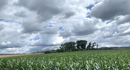 Bei Nordhausen (Foto: oas) Bei Nordhausen (Foto: oas)