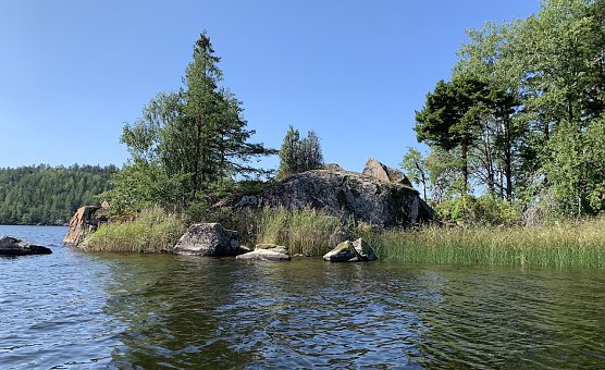 Sommerlicher See in Südschweden (Foto: oas) Sommerlicher See in Südschweden (Foto: oas)