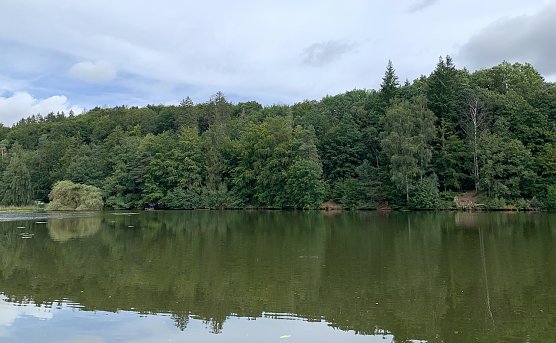 Teich in Bad Sachsa  (Foto: oas)
