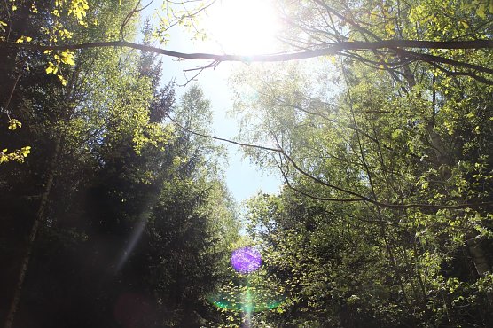 Wetterbild (Foto: agl)