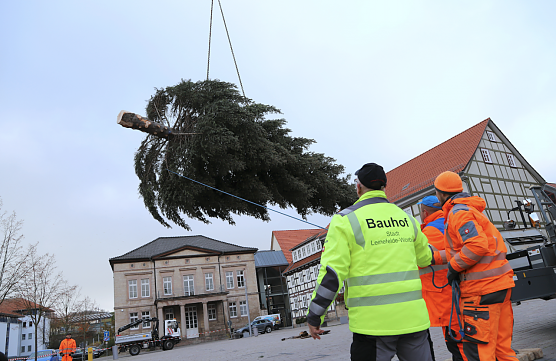 Leinefelde sucht Weihnachtsb&auml;ume (Foto: Ren&eacute; Wei&szlig;bach)