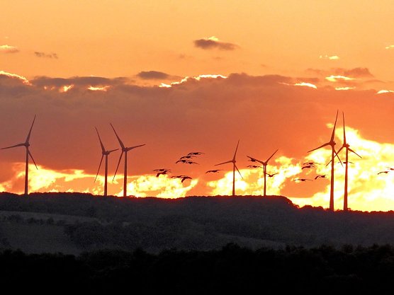 Abendstimmung am Stausee Kelbra (Foto: Peter Blei)