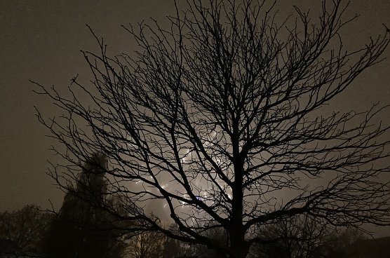 Beim Feuerwerk zu Martini (Foto: oas)