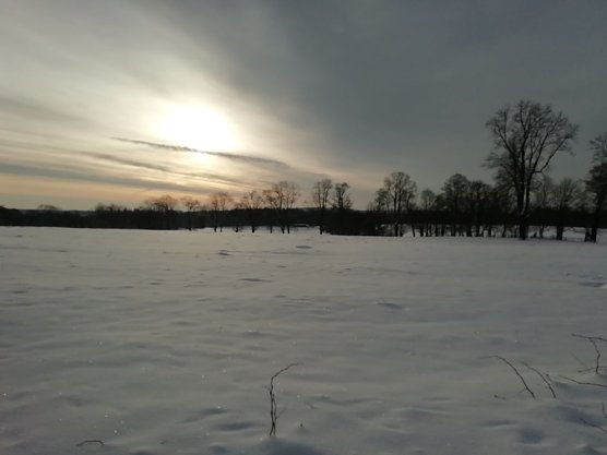 Sonne und Schnee bei Minus neun Grad heute morgen in Sophienhof (Foto: W. J&ouml;rgens)