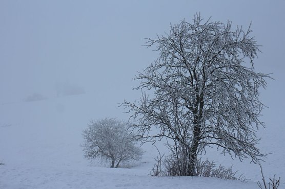 Wetterbild (Foto: agl)