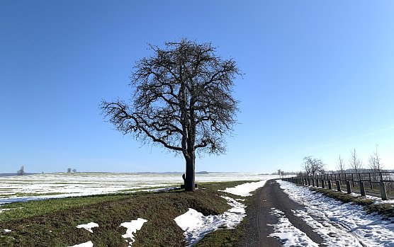 Alte Leipziger Stra&szlig;e bei Bielen (Foto: oas)