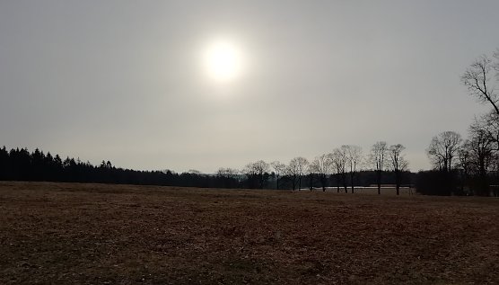 Im Hochharz (Foto: W.J&ouml;rgenss)