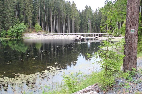 Sanierter Feuerl&ouml;schteich im Th&uuml;ringer Forstamt Neustadt/Orla: Die Wasserentnahmestelle ist auf der Dammkrone gut zu erkennen (Foto: Th&uuml;ringenForst)