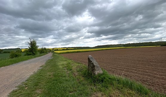 In der Windl&uuml;cke  (Foto: oas)