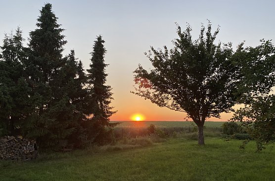 Abendstimmung in Nordsachsen (Foto: oas)