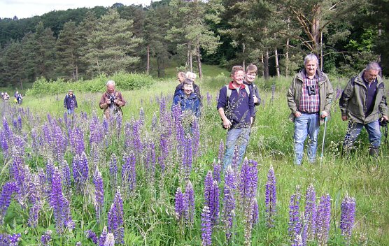 Fachgruppe Ornithologie auf Entdeckungstour. (Foto: Wilhelm Roth)