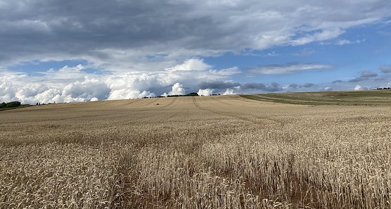 In der Windl&uuml;cke (Foto: oas)