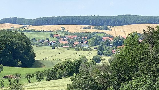 Bei H&ouml;rningen (Foto: oas)