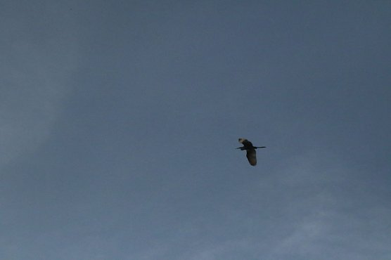 Wetterbild (Foto: agl)