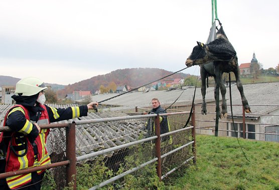 Tierrettung (Foto: Feuerwehr Heiligenstadt)