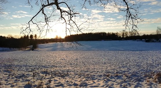 Der Winter, wie hier im Hochharz, legt erst einmal eine Pause ein (Foto: W.J&ouml;rgens)