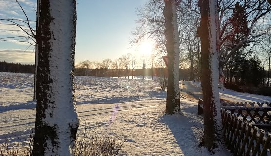 Winterstimmung im Harz (Foto: W.J&ouml;rgens)