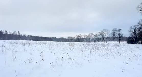 Wetter im Harz weiter winterlich (Foto: W.Jörgens) Wetter im Harz weiter winterlich (Foto: W.Jörgens)