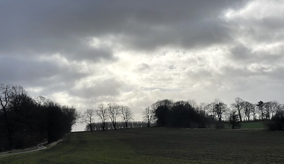 Bei Merxleben (Foto: oas)