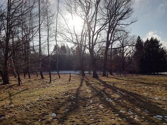 In Sophienhof weicht der Schnee langsam der Sonne (Foto: W. Jörgens) In Sophienhof weicht der Schnee langsam der Sonne (Foto: W. Jörgens)