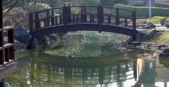 Im wieder geöffneten Japanischen Garten in Bad Langensalza (Foto: Eva Maria Wiegand) Im wieder geöffneten Japanischen Garten in Bad Langensalza (Foto: Eva Maria Wiegand)