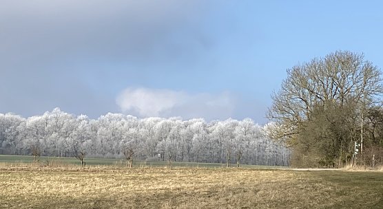 Nachts bleibt's frostig, tags&uuml;ber sch&ouml;n (Foto: oas)