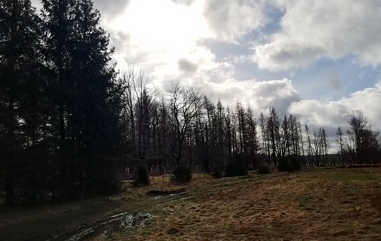 Auch im n&ouml;rdlichsten Th&uuml;ringer Zipfel heute Morgen viel Wind und Temperaturen um den Gefrierpunkt (Foto: W.J&ouml;rgens)