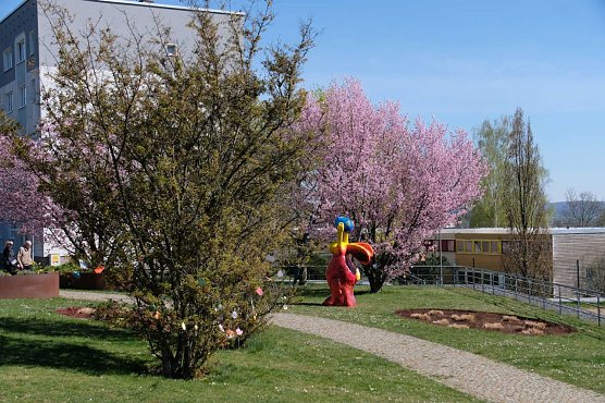 Osterwetter auf dem Petersberg in Nordhausen (Foto: Peter Blei)