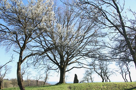 Wetterbild (Foto: agl) Wetterbild (Foto: agl)