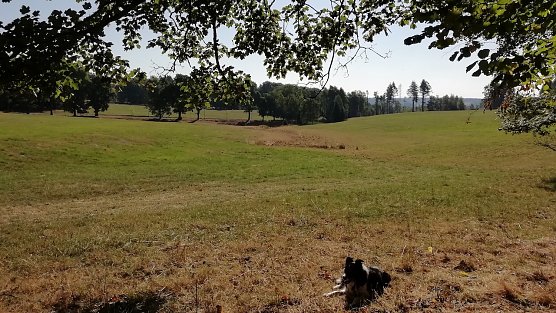 Sophienhof meldete heute früh am Morgen schon 17 Grad. (Foto: W.Jörgens) Sophienhof meldete heute früh am Morgen schon 17 Grad. (Foto: W.Jörgens)