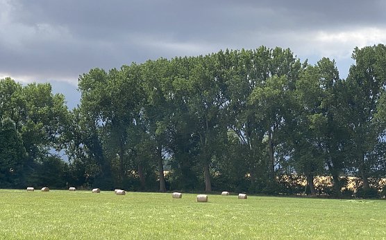 Die Wetteerstimmung bleibt gewittrig (Foto: oas)