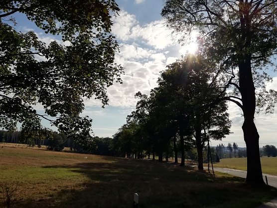 Spätsommerlich war es heute morgen auch in Sophienhof (Foto: W. Jörgens) Spätsommerlich war es heute morgen auch in Sophienhof (Foto: W. Jörgens)