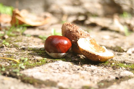 Wetterbild (Foto: WirSinds) Wetterbild (Foto: WirSinds)