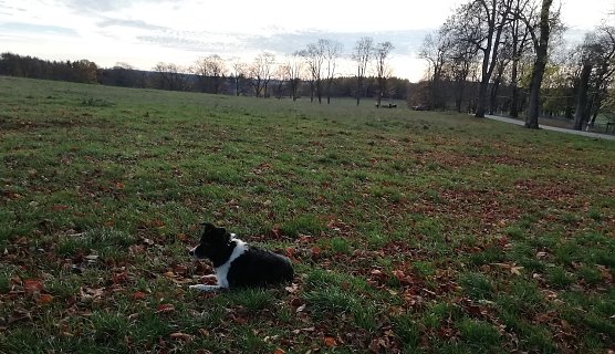 Sophienhof im Harz meldet heute Morgen 10 Grad und bestes Wanderwetter (Foto: W.Jörgens) Sophienhof im Harz meldet heute Morgen 10 Grad und bestes Wanderwetter (Foto: W.Jörgens)