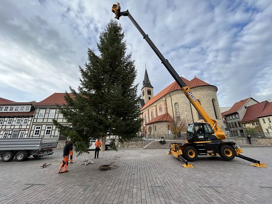 Nur mit schwerem Ger&auml;t des st&auml;dtischen Bauhofes war es m&ouml;glich, den Baum auf dem Worbiser Friedensplatz aufzustellen.  (Foto: Ren&eacute; Wei&szlig;bach       )