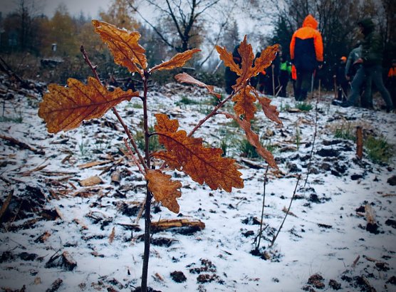 Wetterbild (Foto: agl)