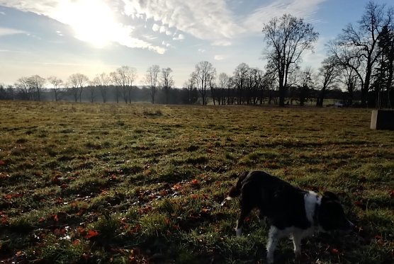 0 Grad, leichter Wind und Sonne. Ideal zum Wandern zeigt sich heute der n&ouml;rdlichste Punkt Th&uuml;ringens in Sophienh&ouml;he (Foto: W.J&ouml;rgens)