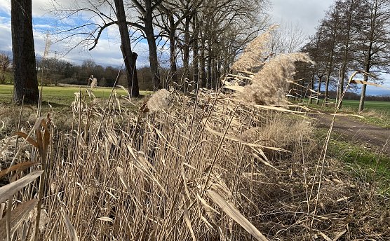 Die Temperaturen bleiben weiter wenig winterlich (Foto: oas) Die Temperaturen bleiben weiter wenig winterlich (Foto: oas)
