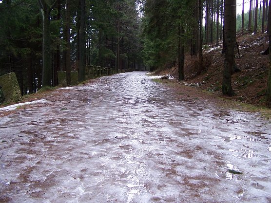 Bei den gegenw&auml;rtigen Frosttemperaturen bilden sich auf Waldwegen gern Eisschichten: Vorsicht, es besteht keine Streupflicht f&uuml;r Waldbesitzern (Foto: Dr. Horst Spro&szlig;mann)