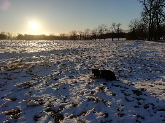 Minus 5 Grad, Sonne, kaum Wind - so sah es heute morgen in Sophienhof aus (Foto: W. J&ouml;rgens)