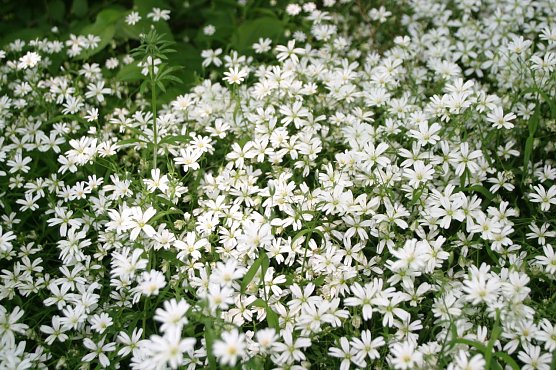 Wetterbild (Foto: agl) Wetterbild (Foto: agl)