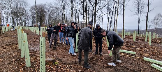 pflanzaktion in Worbis (Foto: N.Böhlitz) pflanzaktion in Worbis (Foto: N.Böhlitz)