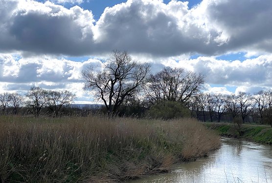 An der Unstrut (Foto: oas) An der Unstrut (Foto: oas)