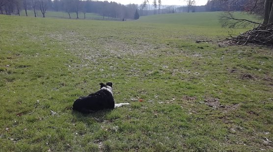 Null Grad und windig heute Morgen in Sophienhof (Foto: W.Jörgens) Null Grad und windig heute Morgen in Sophienhof (Foto: W.Jörgens)