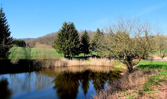 Am Rosenteich (Foto: Peter Blei) Am Rosenteich (Foto: Peter Blei)