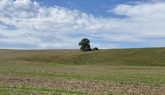 Der Herbst hält langsam Einzug in Thüringen (Foto: oas) Der Herbst hält langsam Einzug in Thüringen (Foto: oas)