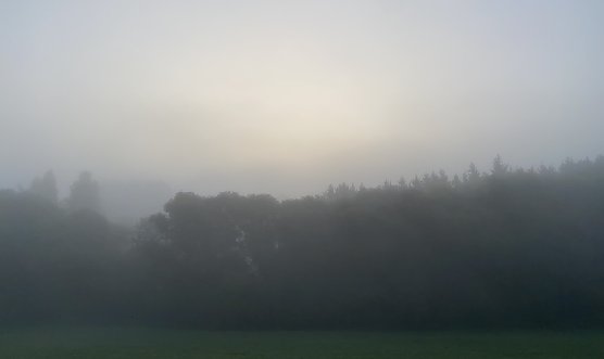 Vielfach ist es neblig im Freistaat und die Sonne kämpft sich nur langsam durch (Foto: oas) Vielfach ist es neblig im Freistaat und die Sonne kämpft sich nur langsam durch (Foto: oas)