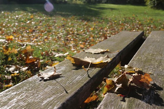 Wetterbild (Foto: agl) Wetterbild (Foto: agl)