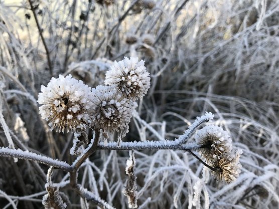 Wetterbild (Foto: agl)