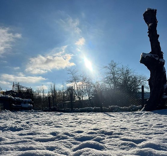 Die Natur zeigt zur Adventszeit seine schönste Pracht (Foto: Luisa Wulf) Die Natur zeigt zur Adventszeit seine schönste Pracht (Foto: Luisa Wulf)